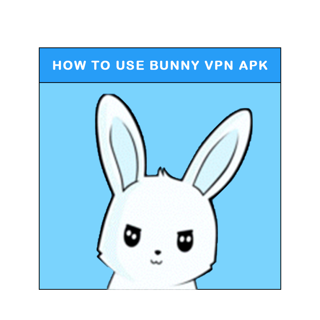 Bunny VPN APK | Download for Android APK Free